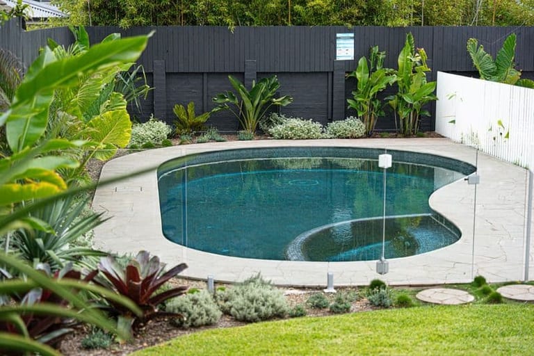 The curved pool and spa from the lawn, glass fencing following the shape and tropical planting behind.