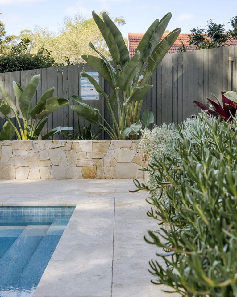 A sandstone retaining wall with bird of paradise behind it and silver succulent planting in the foreground.