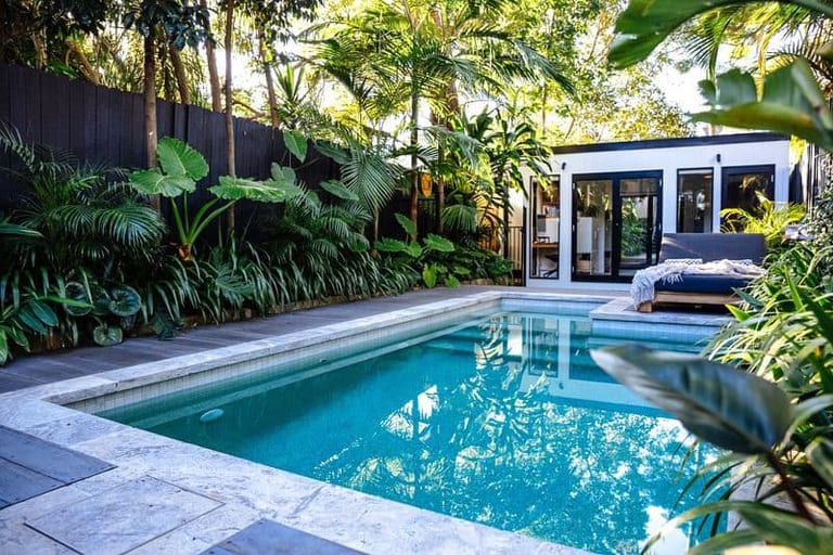 The pool from the corner of the deck, dense palms along the fence and the studio at right.