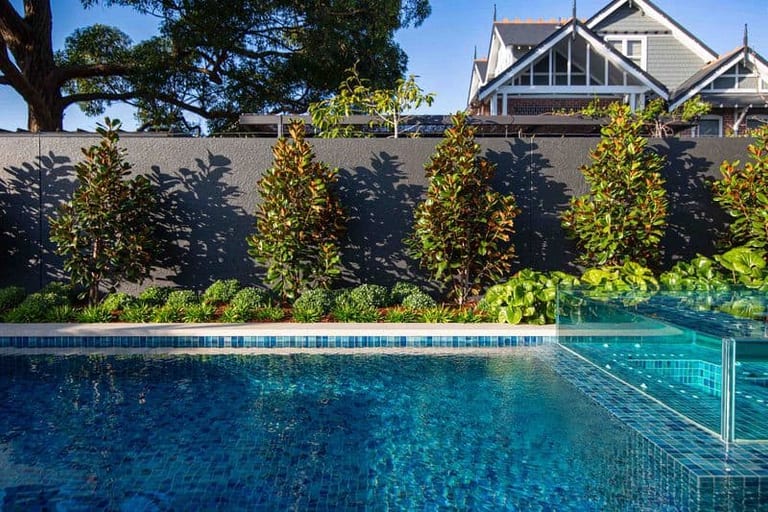 The pool edge and magnolia hedge against a dark rendered wall, heritage rooflines beyond.
