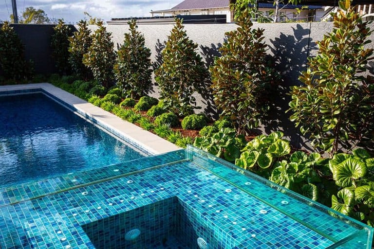 The glass spa and pool seen along the planted border, clipped magnolias lining the fence.