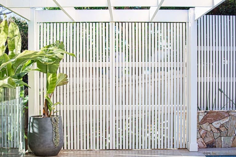 The white slatted screen behind a charcoal pot of strelitzia, framed by the pergola.