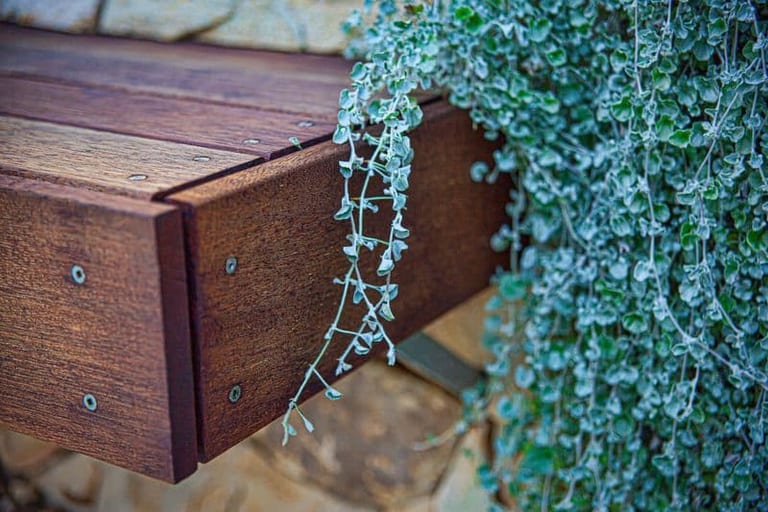 Close detail of the cantilevered timber bench meeting the sandstone wall, with silver groundcover.